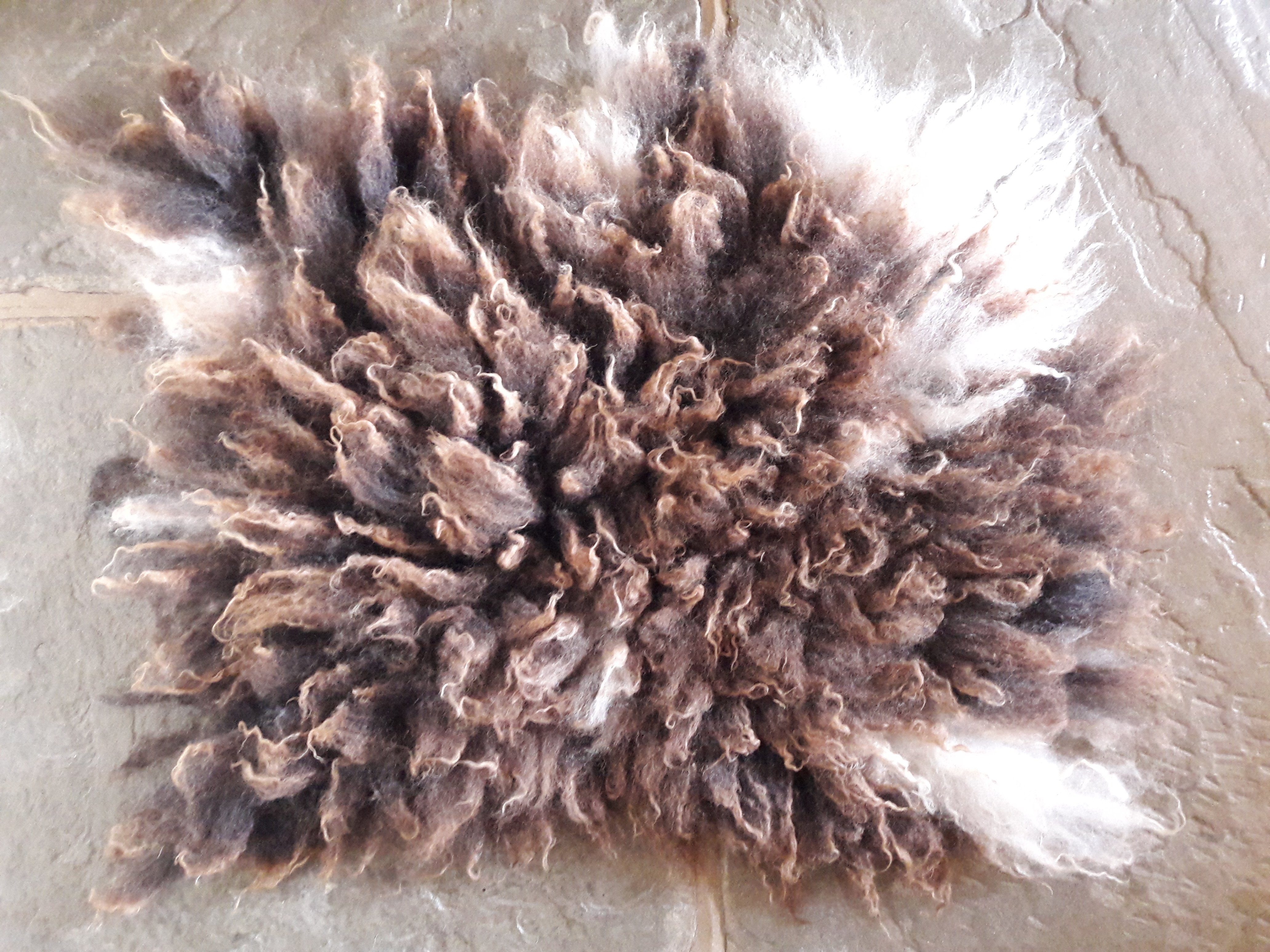 What are Vegetarian Sheep Skin Rugs? East Hill Mill