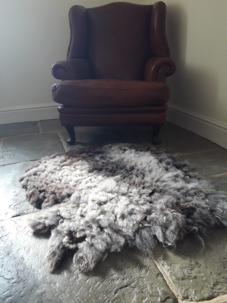 What are Vegetarian Sheep Skin Rugs? East Hill Mill