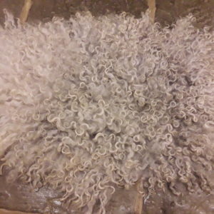 Felted Fleece Rug