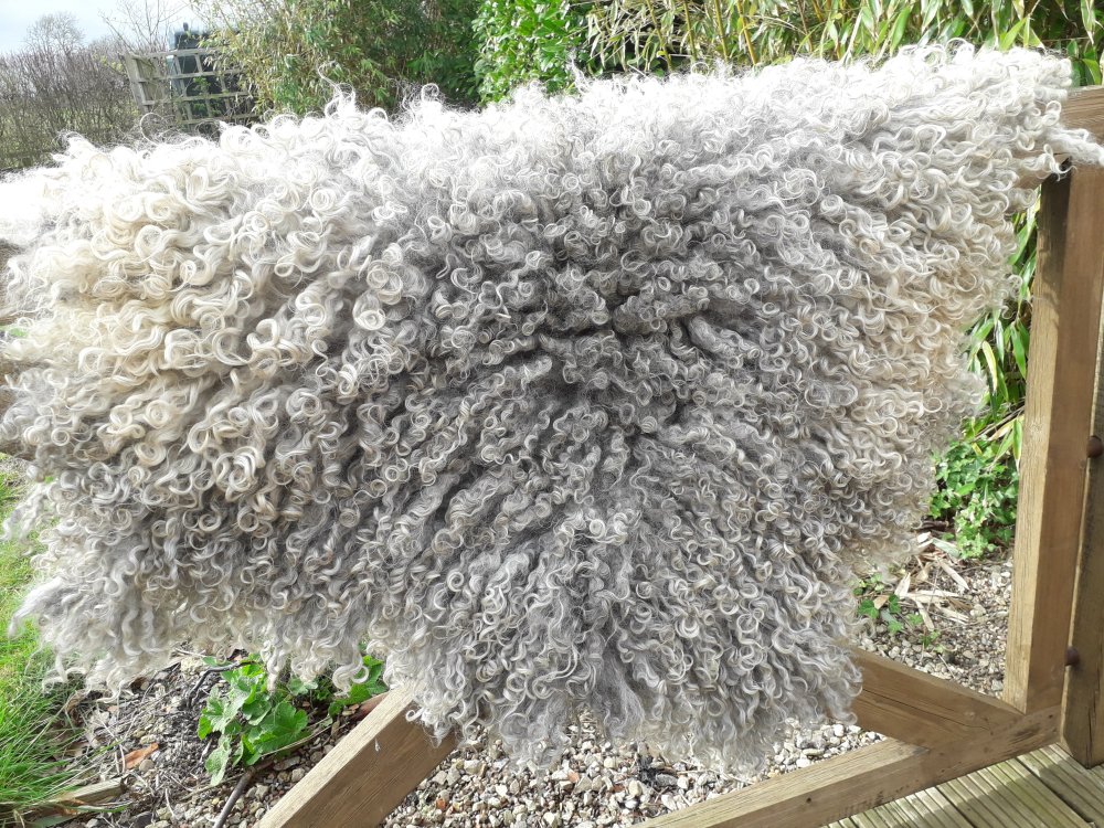 Handmade British Wool Rug