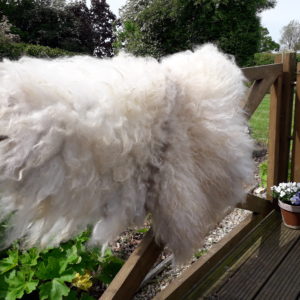 Icelandic Fleece Vegetarian Sheepskin Rug
