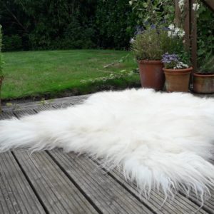 White Scottish Blackface Fleece Rug
