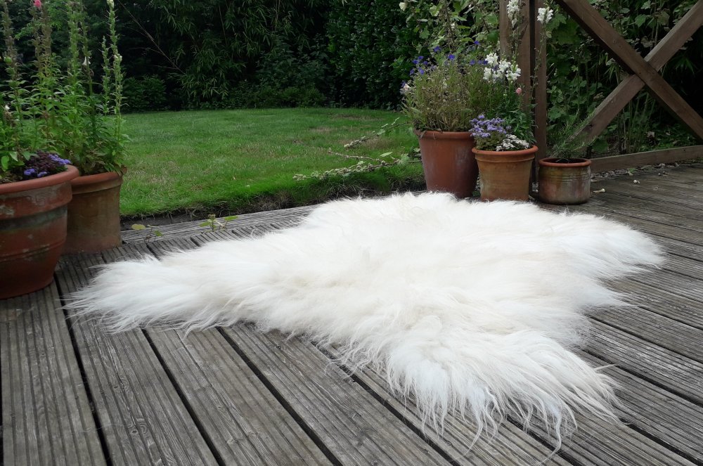 White Scottish Blackface Fleece Rug