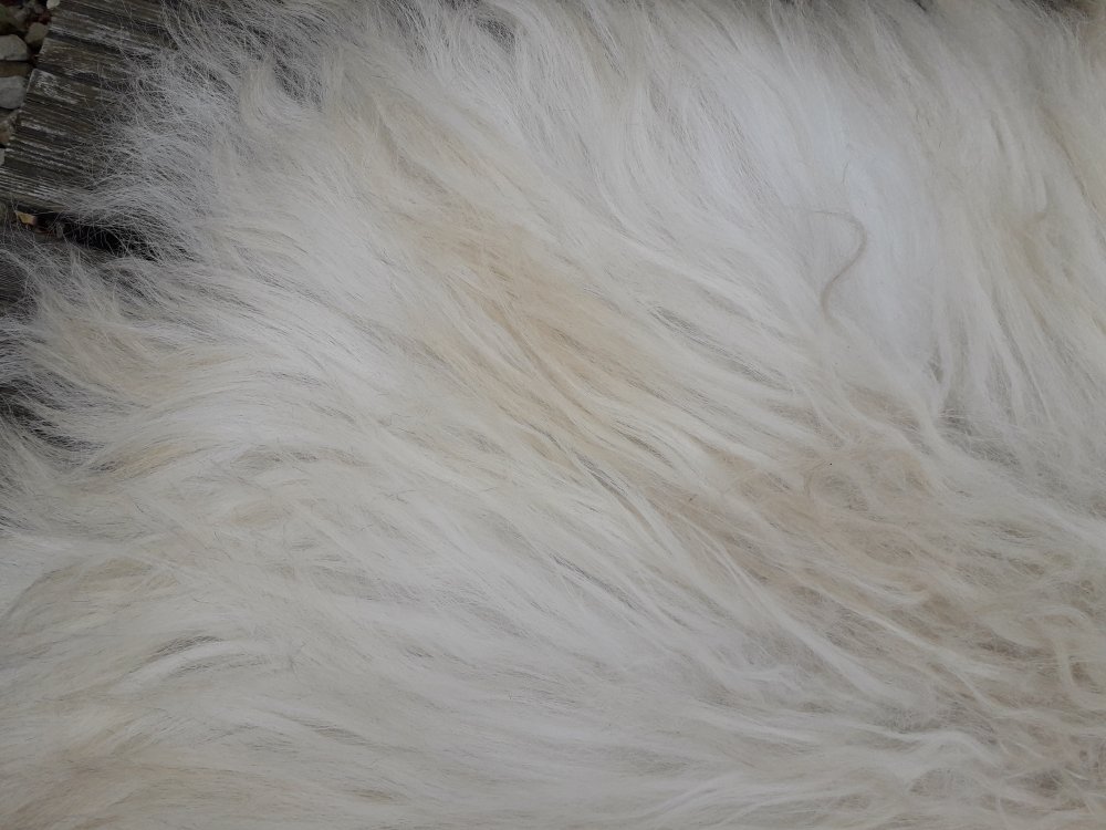 Large Scottish Blackface Fleece Rug / Throw - SOLD - Image 5