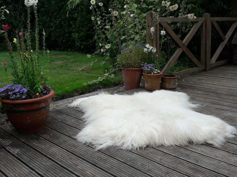 Vegetarian Sheepskin Rug - Scottish Blackface Fleece