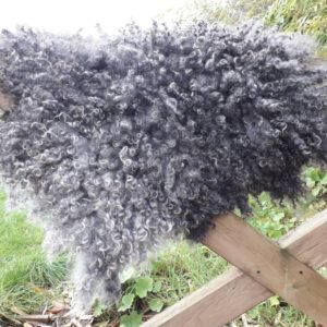 Small Gotland Fleece Wool Rug