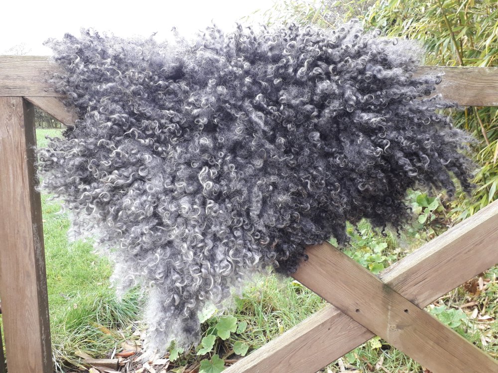 Small Gotland Fleece Wool Rug