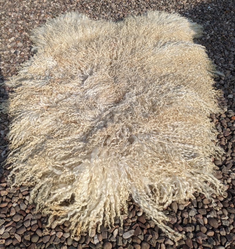 Teeswater Fleece Large Vegetarian Sheepskin Rug NEW